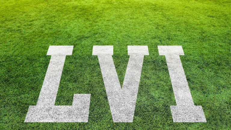 Super Bowl LVI playing field